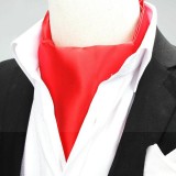 Exklusives Ascot-Halstuch für Herren - Rot Krawatten für Hochzeit